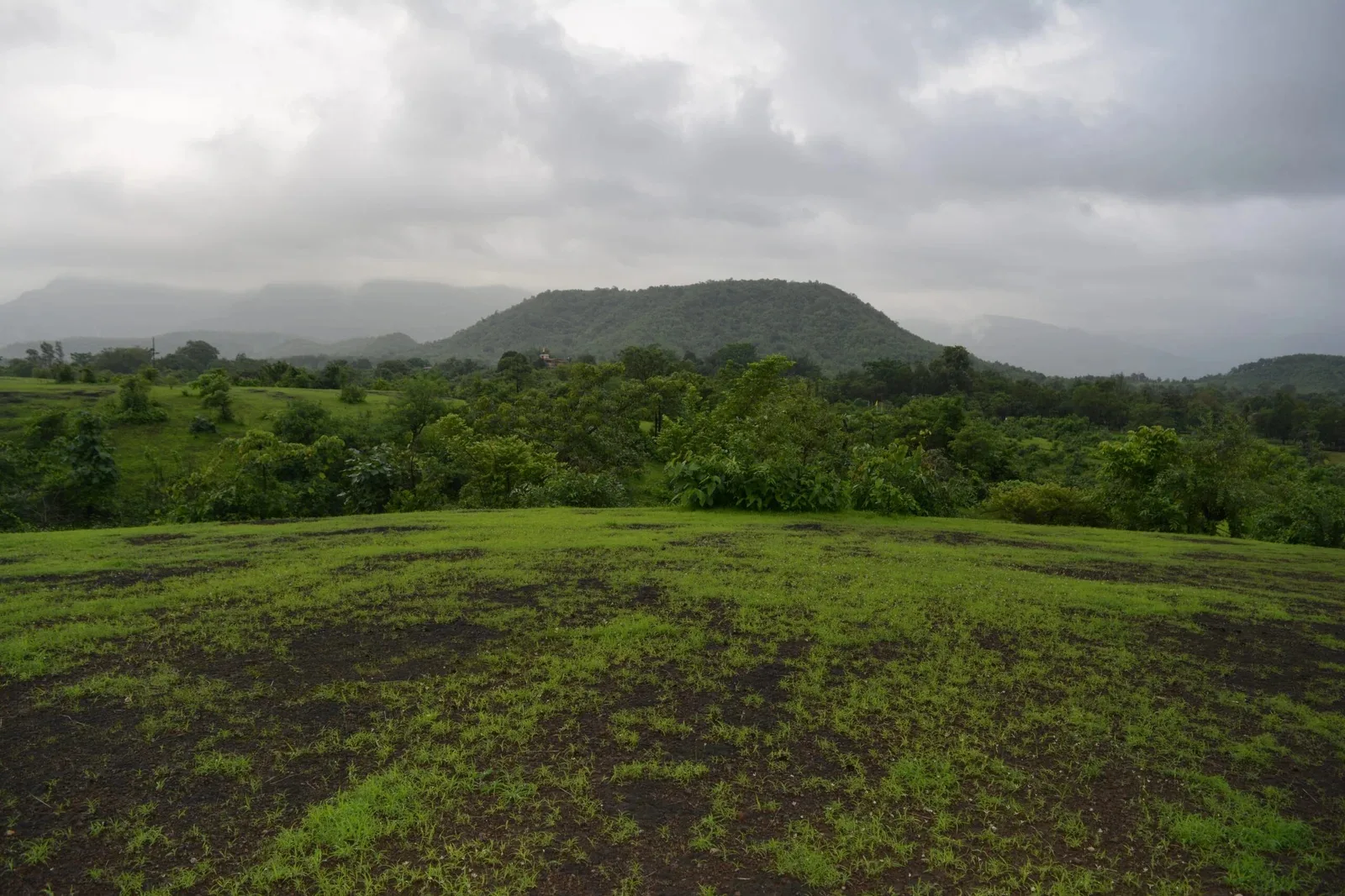 Misty green hills and meadow at SR Meadows, Karjat